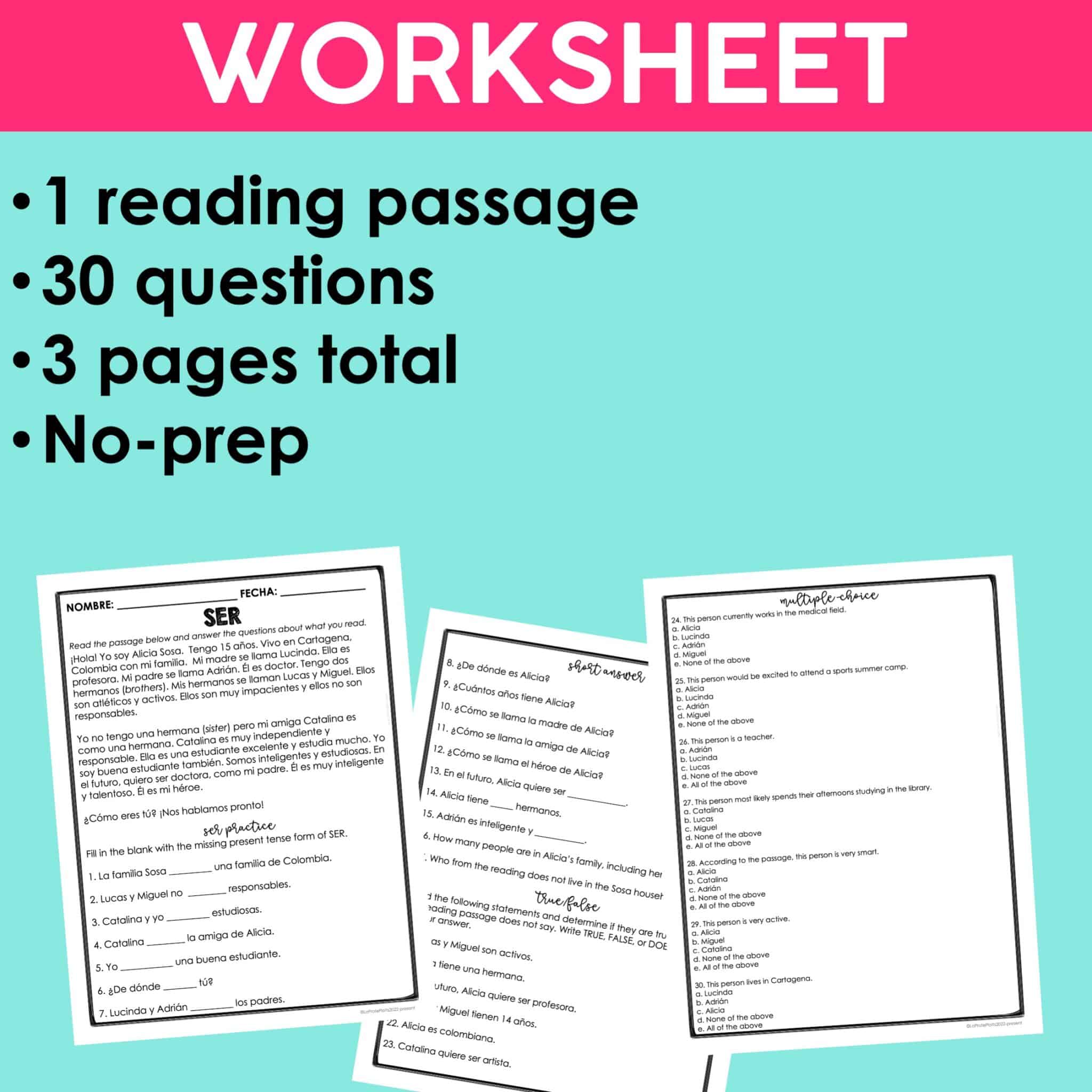 Spanish Sub Plans | SER Reading Comprehension Activities - La Profe Plotts